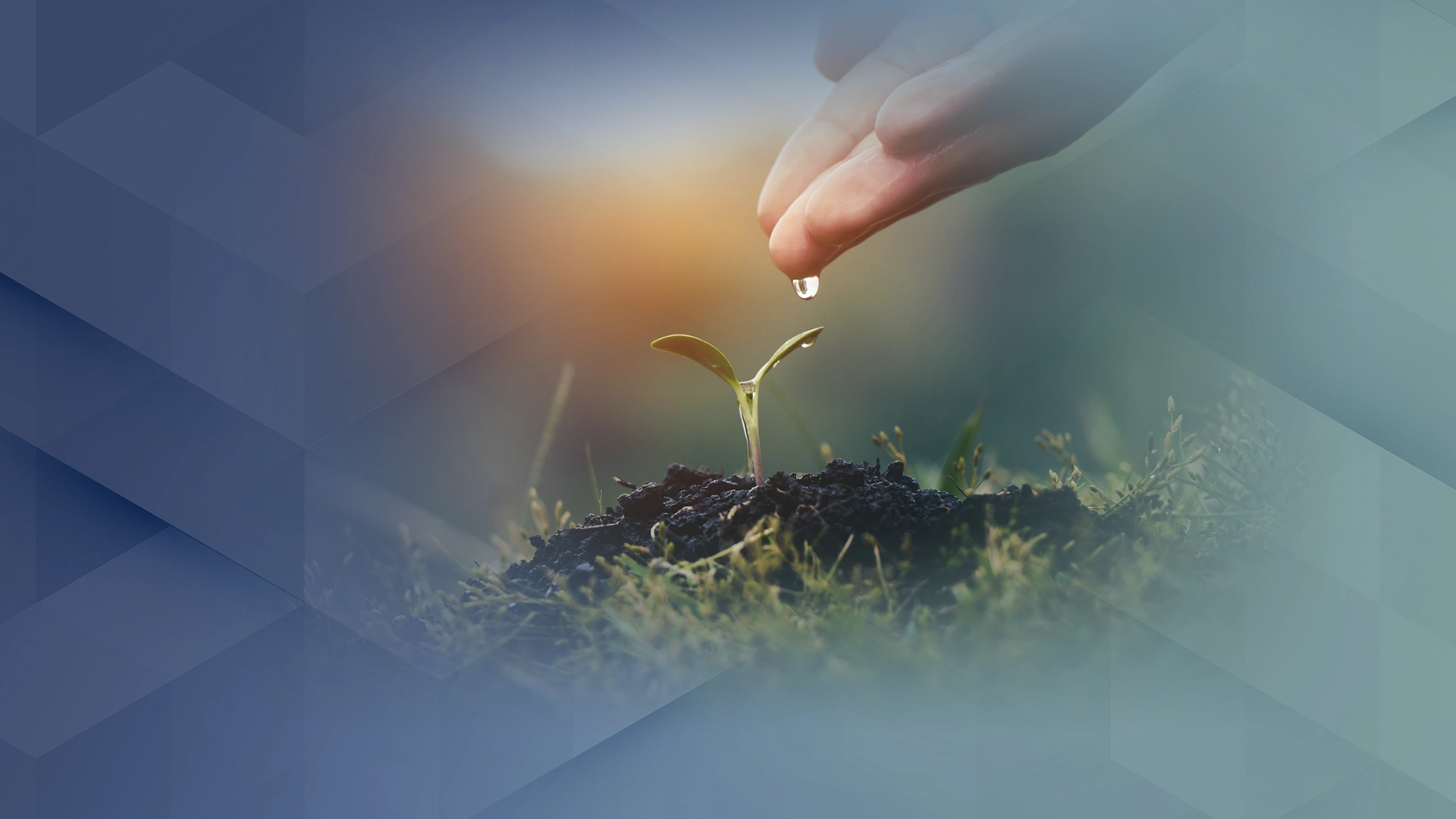 Gabinet Psychoterapii GESTALT - Stalowa Wola - Anna Wójcik